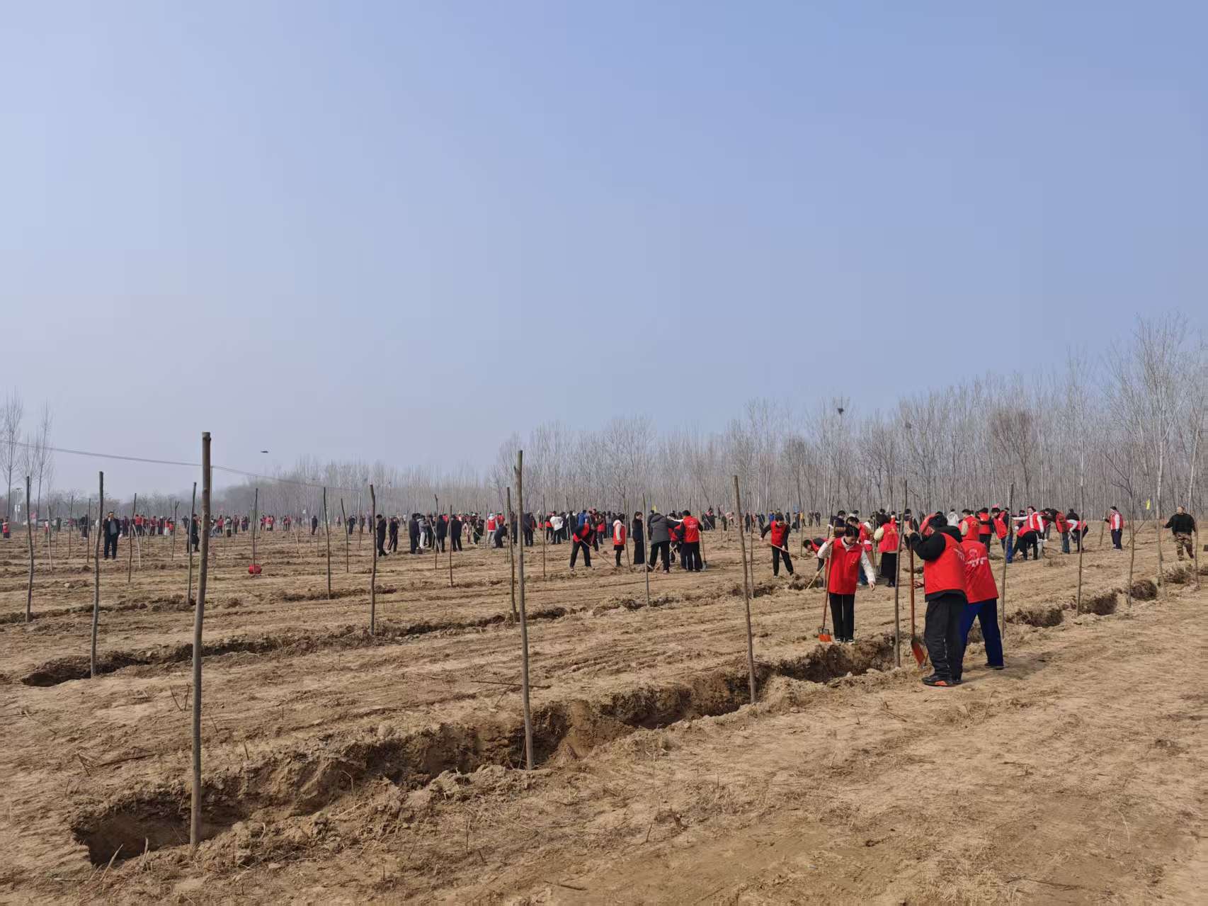 春播新綠踐使命 匠心植綠繪林海